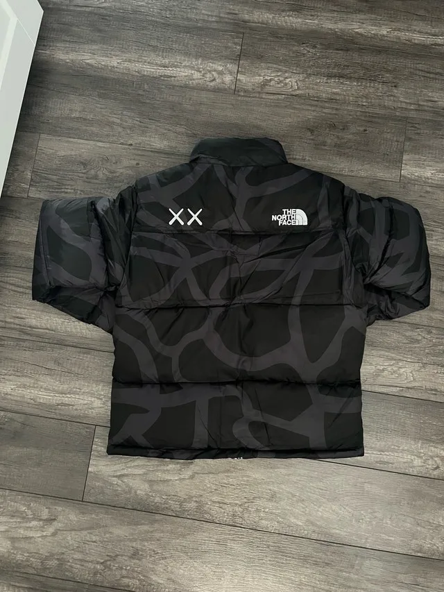 Kaws North Face Jacket image indicator(2)