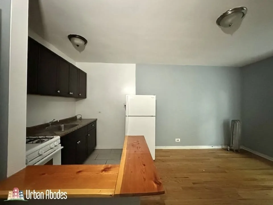 1 Bed 1 Bath Apartment image indicator(4)