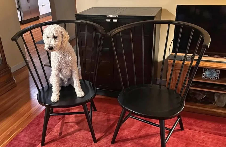 Oversized Crate and Barrel wood chairs