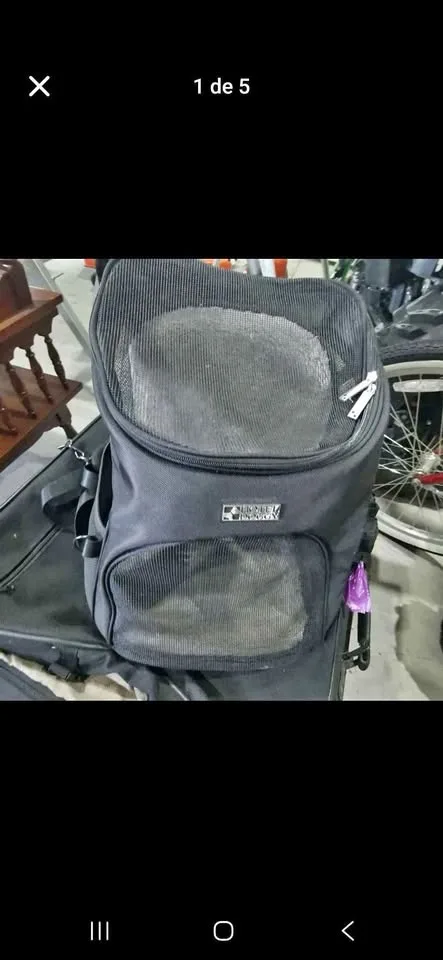 Backpack for small dog