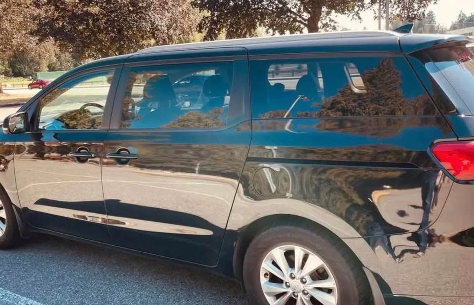 2015 Kia Sedona image indicator(8)