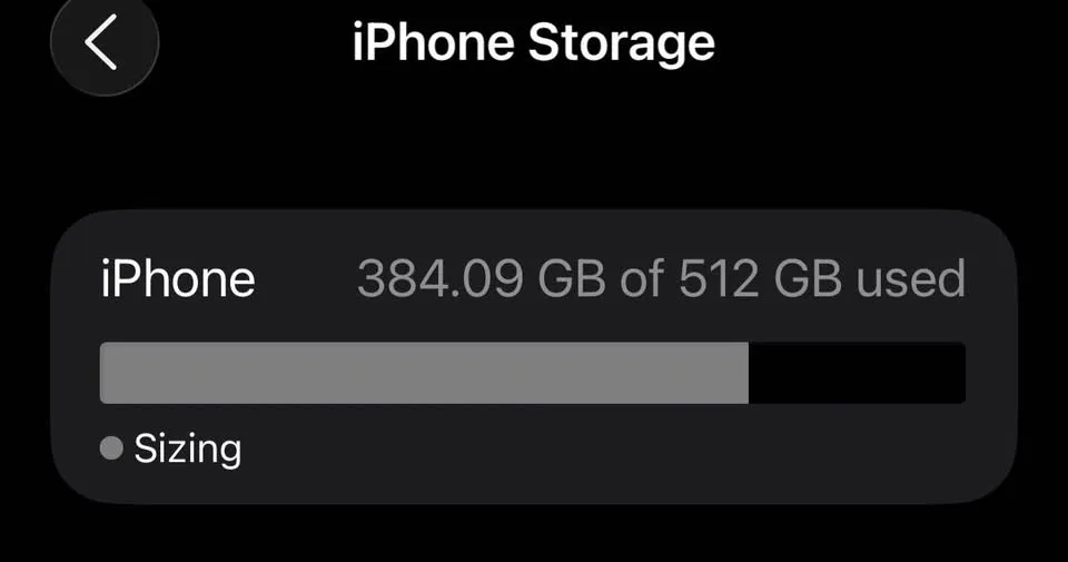 Iphone 13 Pro Max 512 GB image indicator(4)