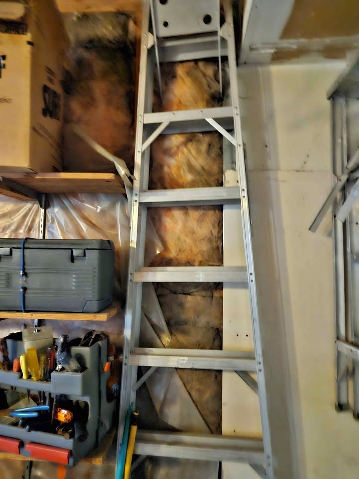 8 ' Aluminum Ladder