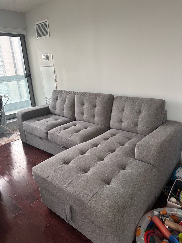 Sofa bed - purchased from Structube last year!