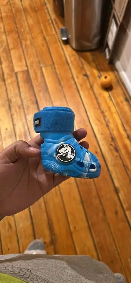 Croc dog shoes brand new