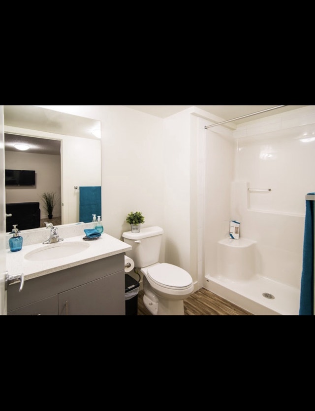 Apartment - photo 4