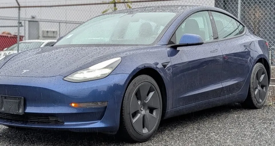 2021 Tesla Model 3 image indicator(2)