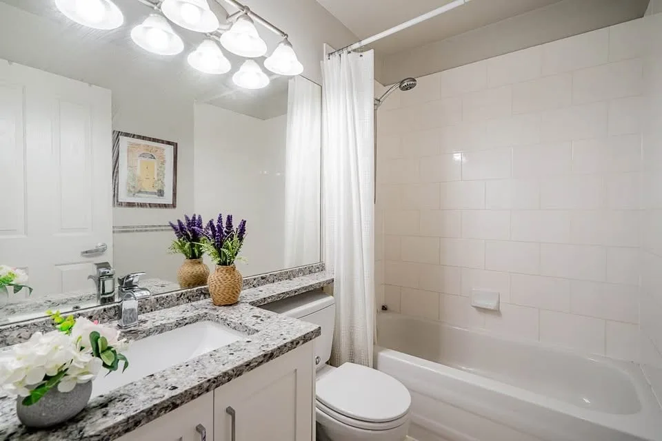 1 Bed 1 Bath - Townhouse image indicator(8)