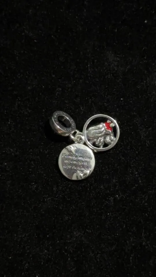 Disney Lilo & Stitch Family Dangle Charm 🥕 image indicator(2)