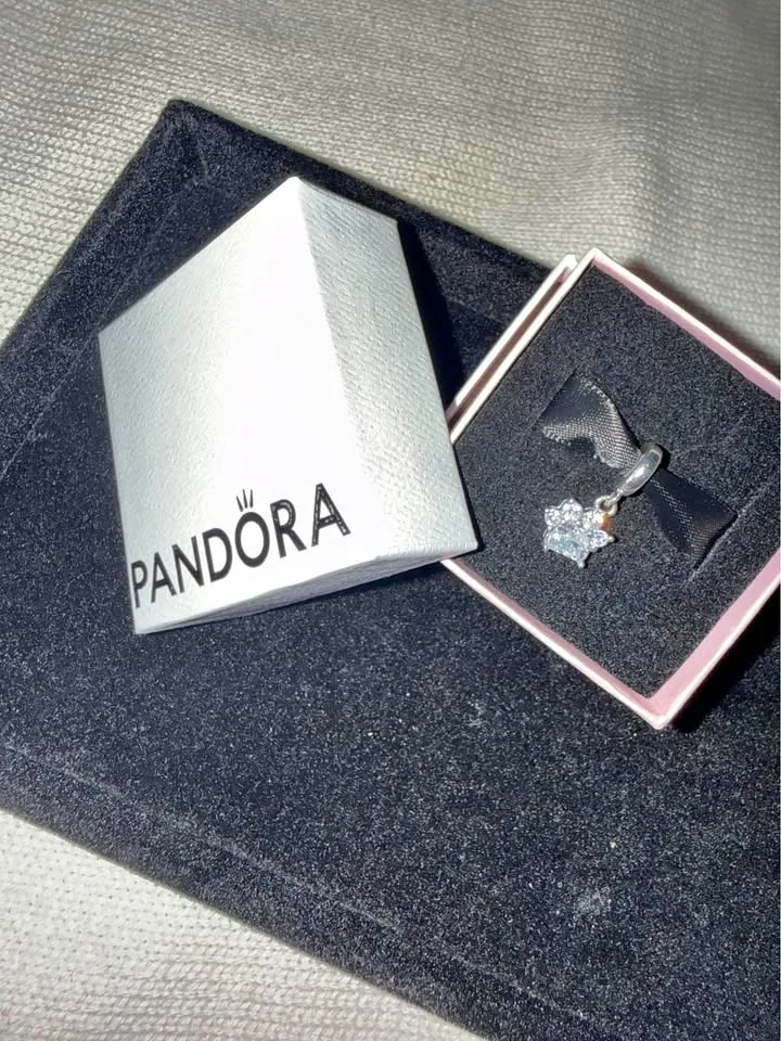 Sparkling Pet Paw Print Dangle Charm Sterling silver(925)