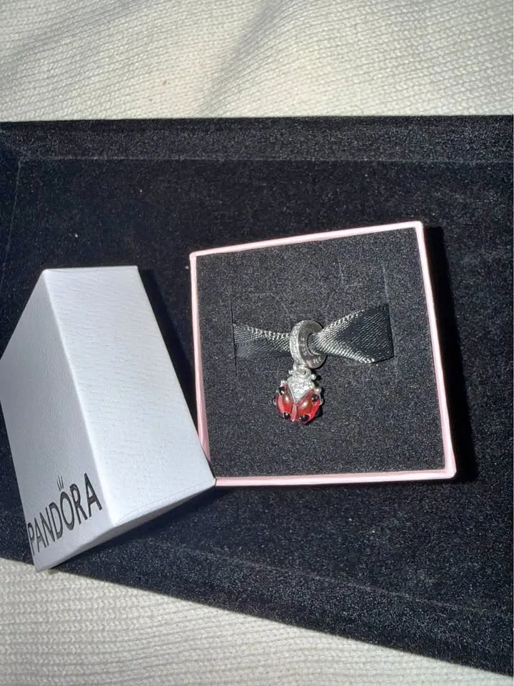 Red Ladybird Dangle Charm Sterling silver(925) 🥕