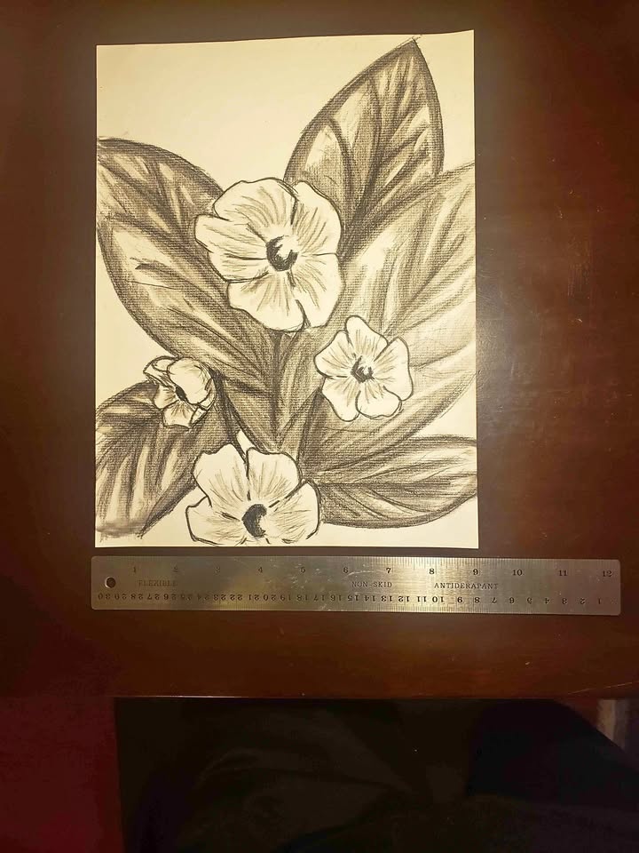 Original Charcoal 23x30 cm