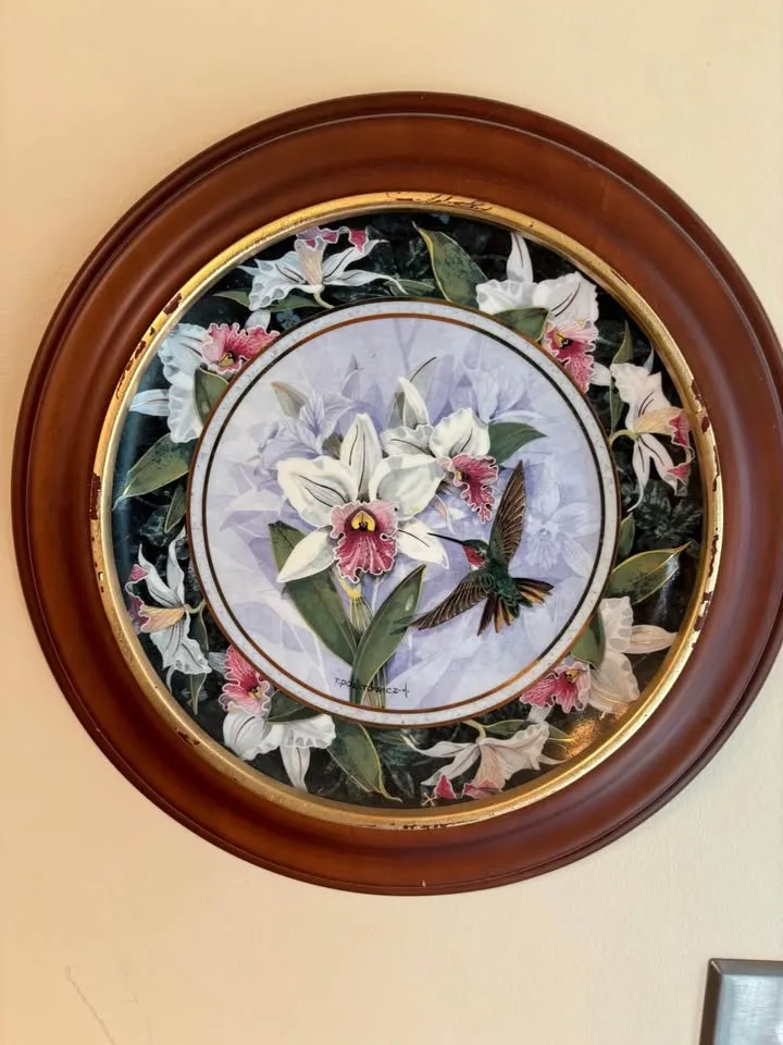 Royal Doulton Hummingbird Plates - 12 Total image indicator(6)