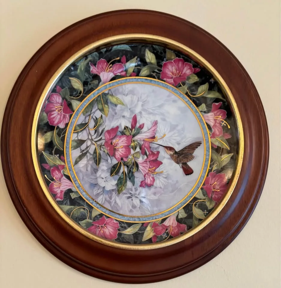 Royal Doulton Hummingbird Plates - 12 Total image indicator(8)