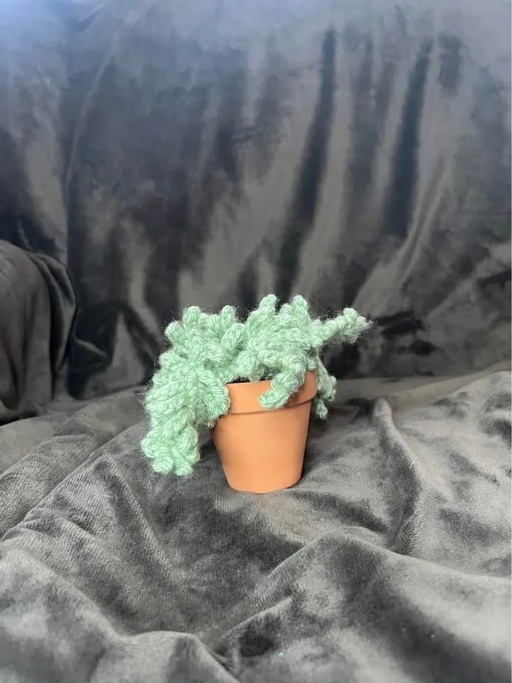 Handmade crochet small potted plant decoration or toy image indicator(2)