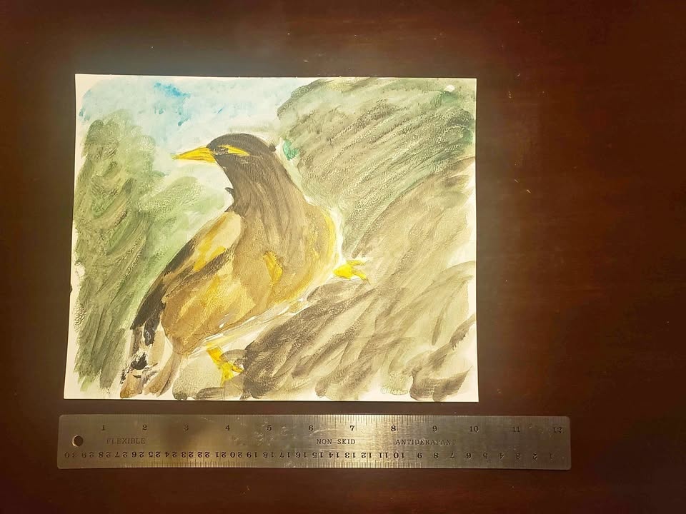 Original Watercolour 20x25 cm