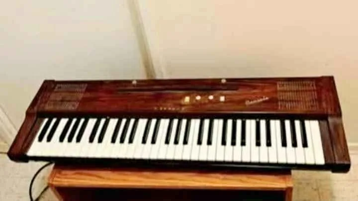 Rare Suzuki Keyboard Electronic Piano