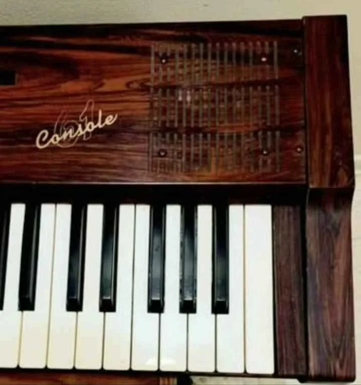 Rare Suzuki Keyboard Electronic Piano image indicator(3)