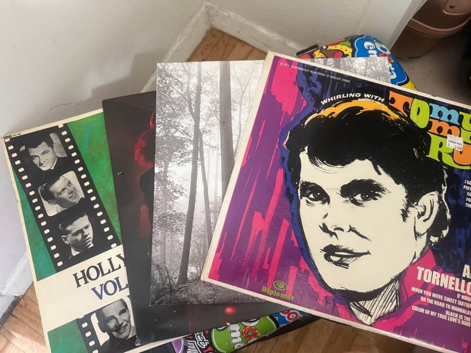 CDs and Vinyls - photo 4