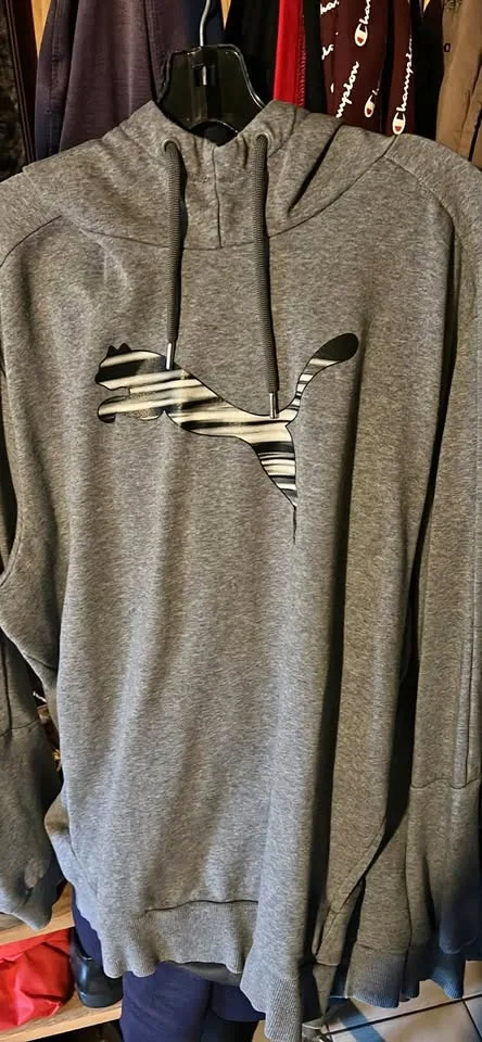 Puma hoodie thumbnail