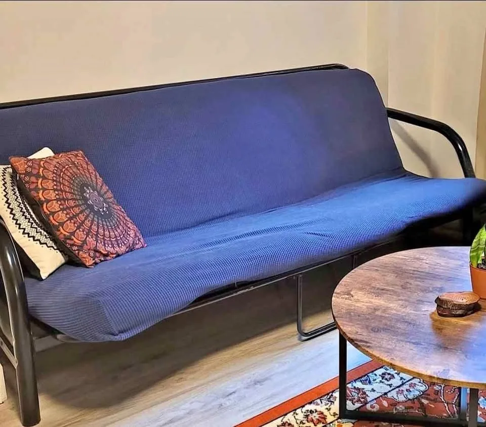 Pull-Out Futon Sofa + FREE Washable Cover
