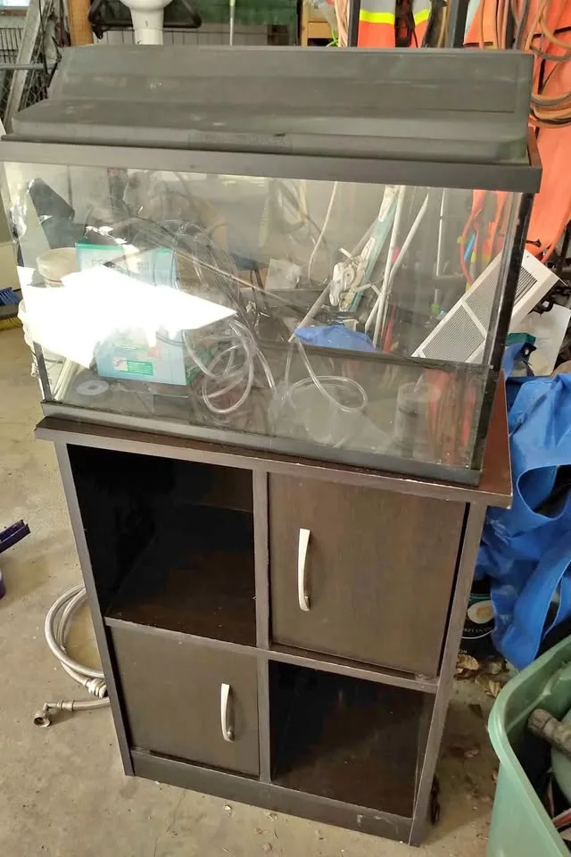 Small fish tank with stand and a ton of supplies 18"x8"x12"