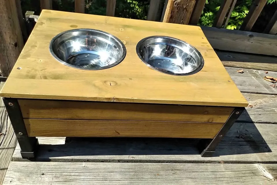 Elevated dog bowls