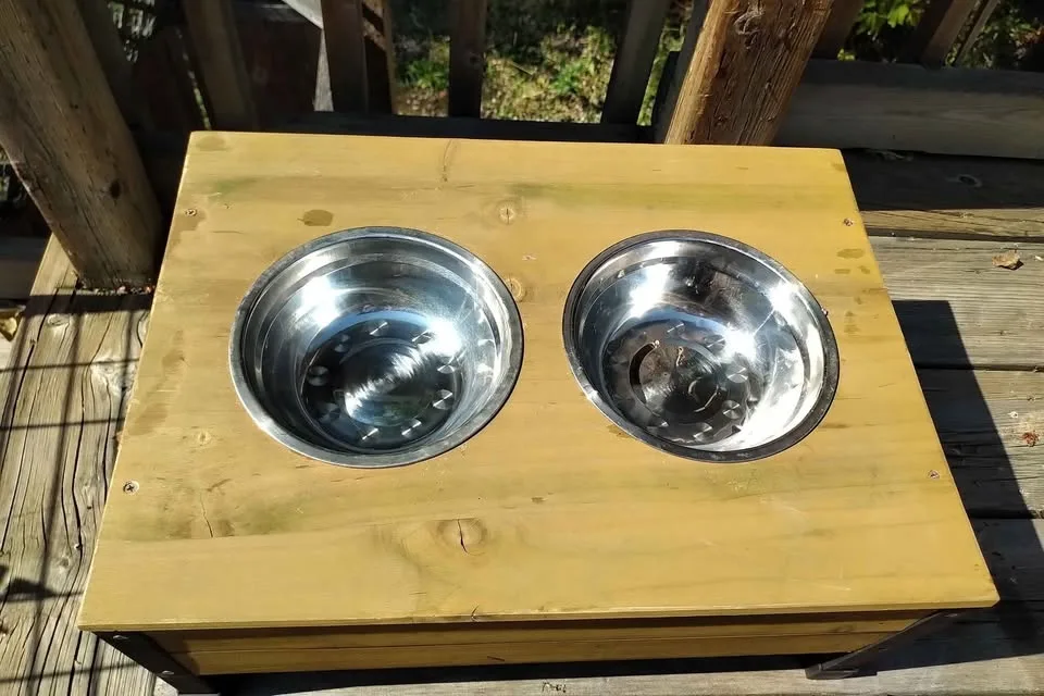 Elevated dog bowls image indicator(2)