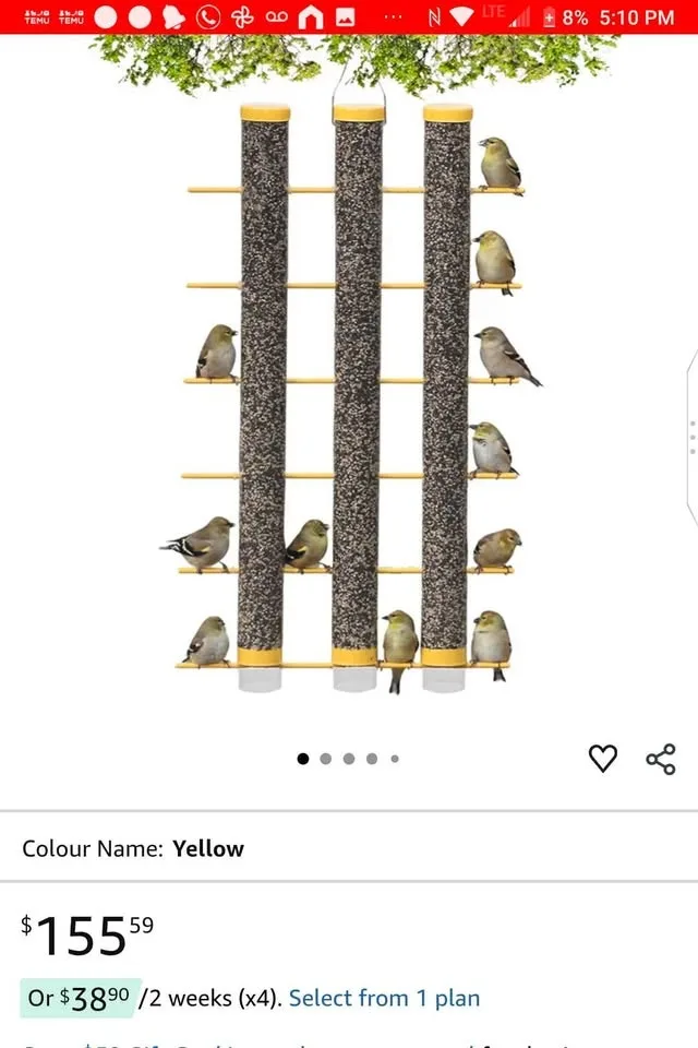 Triple tube finch/songbird feeder image indicator(2)