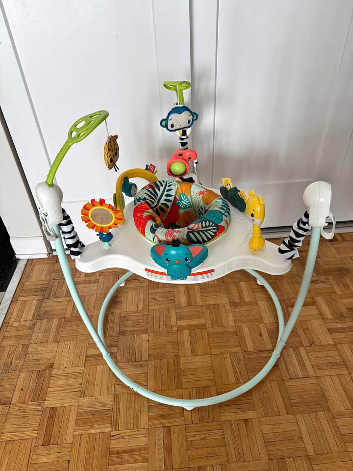 Fisher-Price Jumperoo Baby Activity Center - Gently Used!