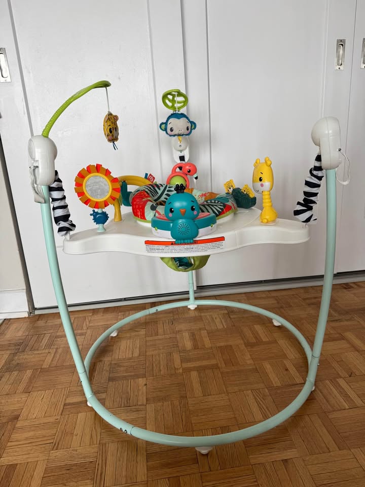 Fisher-Price Jumperoo Baby Activity Center - Gently Used! - photo 2