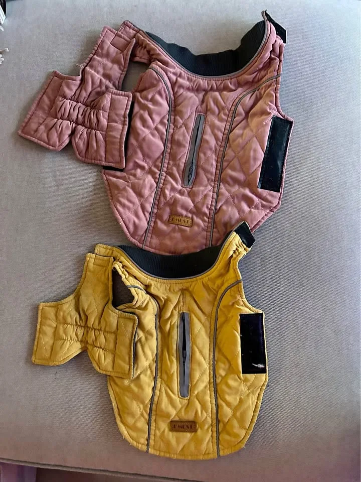 Small Dog jacket thumbnail