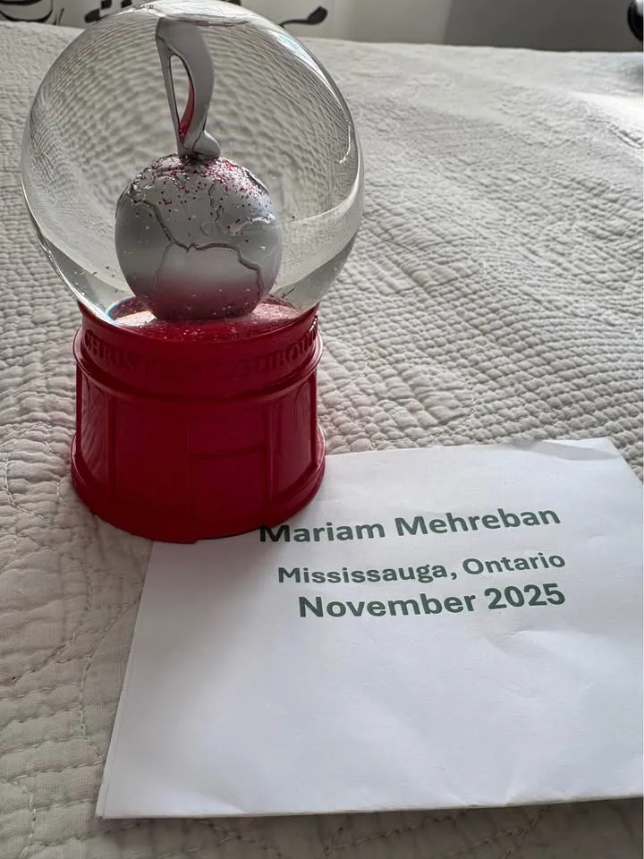 Christian Louboutin Snow Globe image indicator(2)