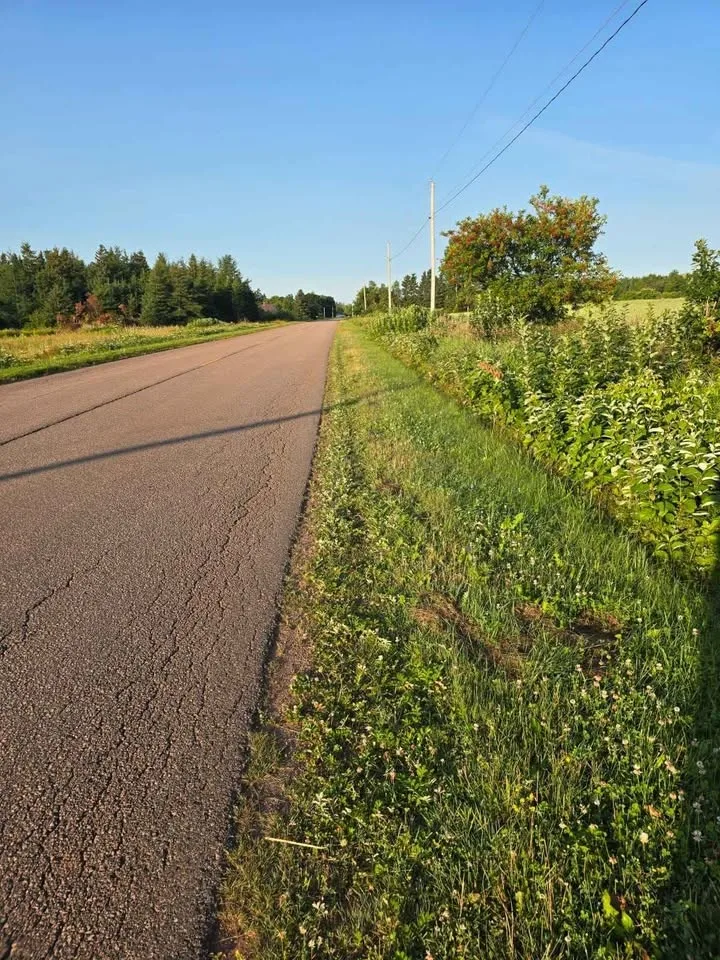 Looking for small lot or storage land image indicator(4)