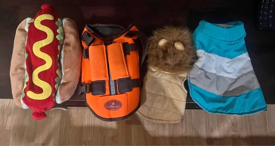 Dog life jacket and costumes