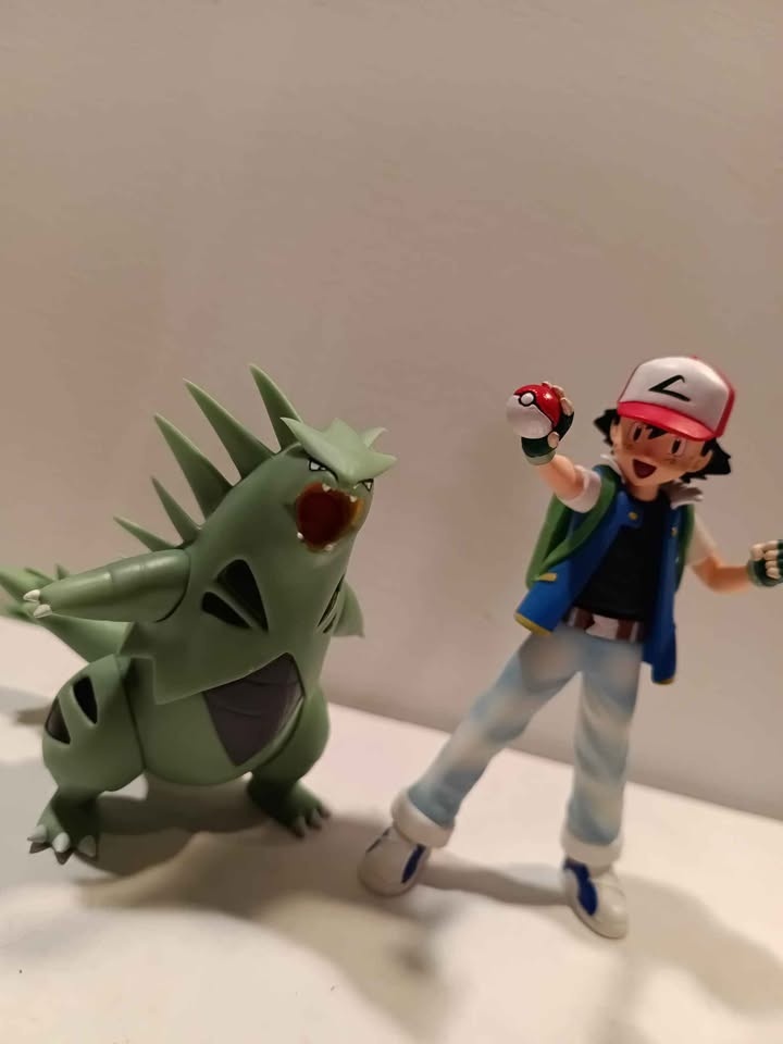 Ash and tyranitar - photo 2