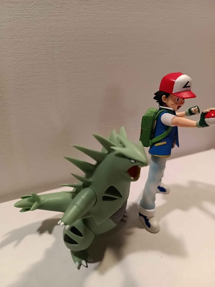 Ash and tyranitar - photo 3