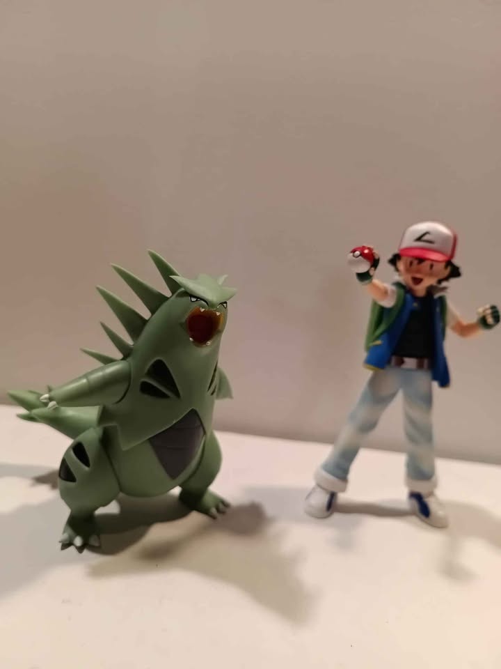Ash and tyranitar - photo 5