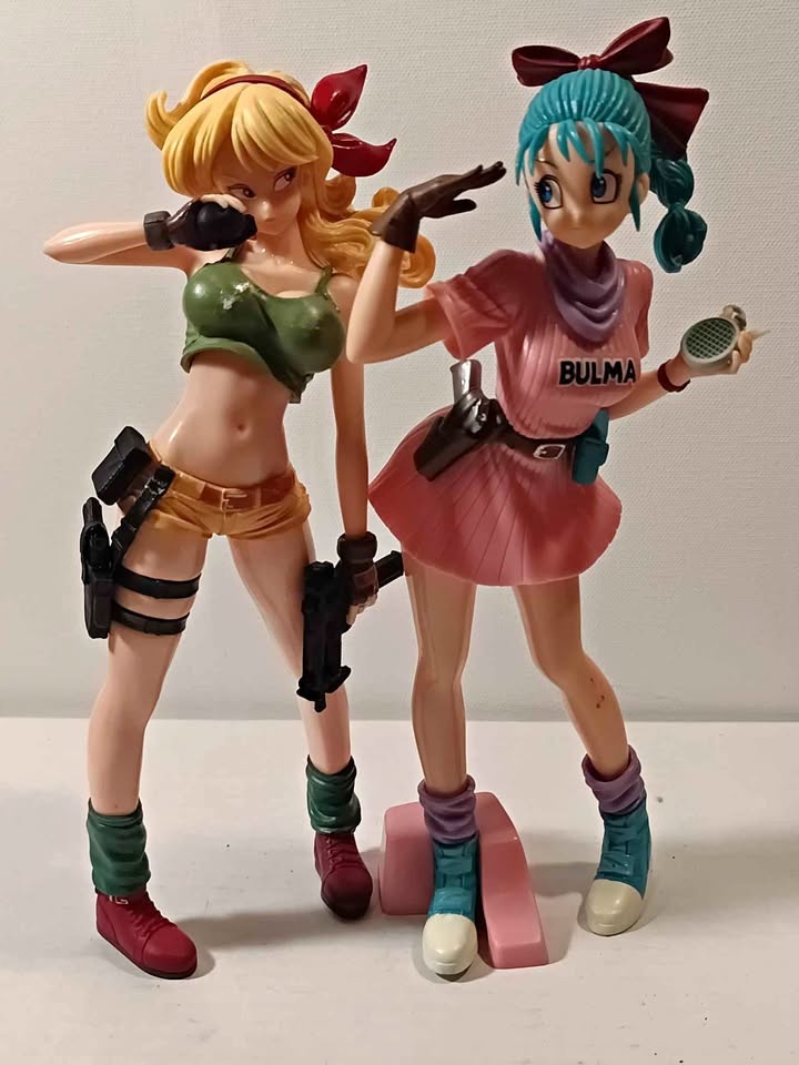Bulma and crazy girl