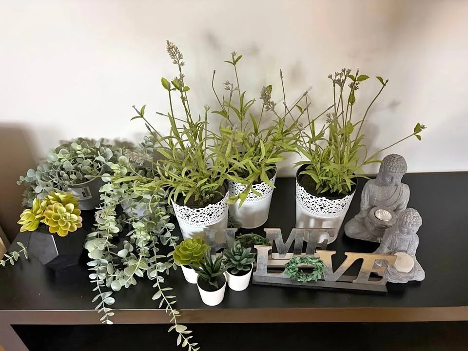 Home decor plants and items
