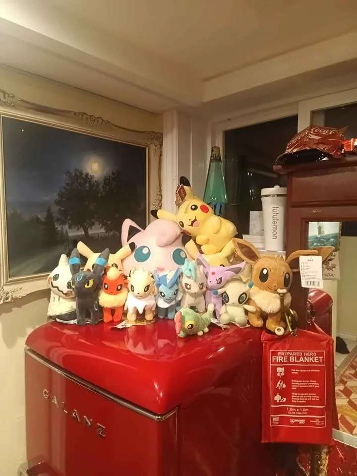 Pokémon eevee image indicator(3)