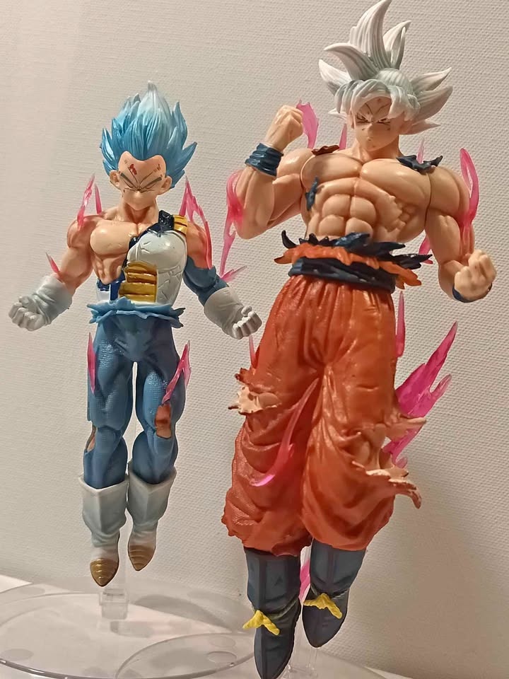 Goku and Vegeta