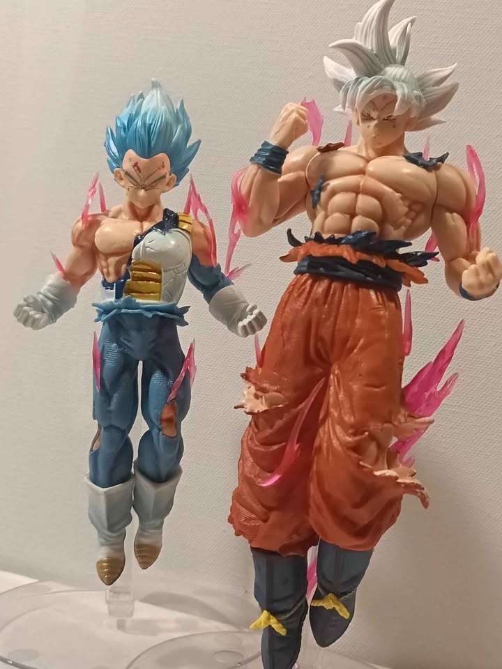 Goku and Vegeta - photo 2