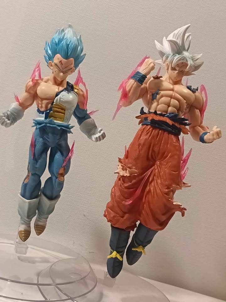 Goku and Vegeta - photo 3