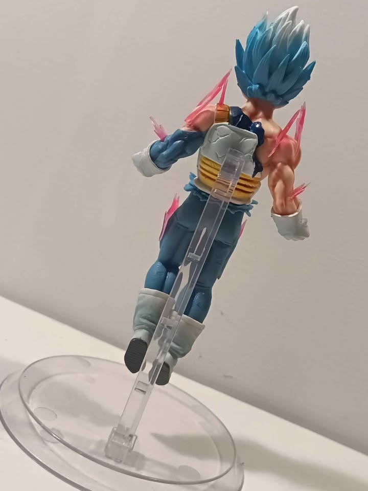 Goku and Vegeta - photo 4
