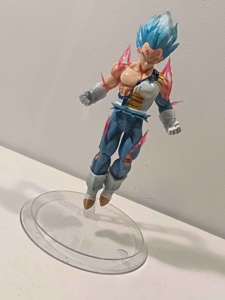 Goku and Vegeta - photo 5