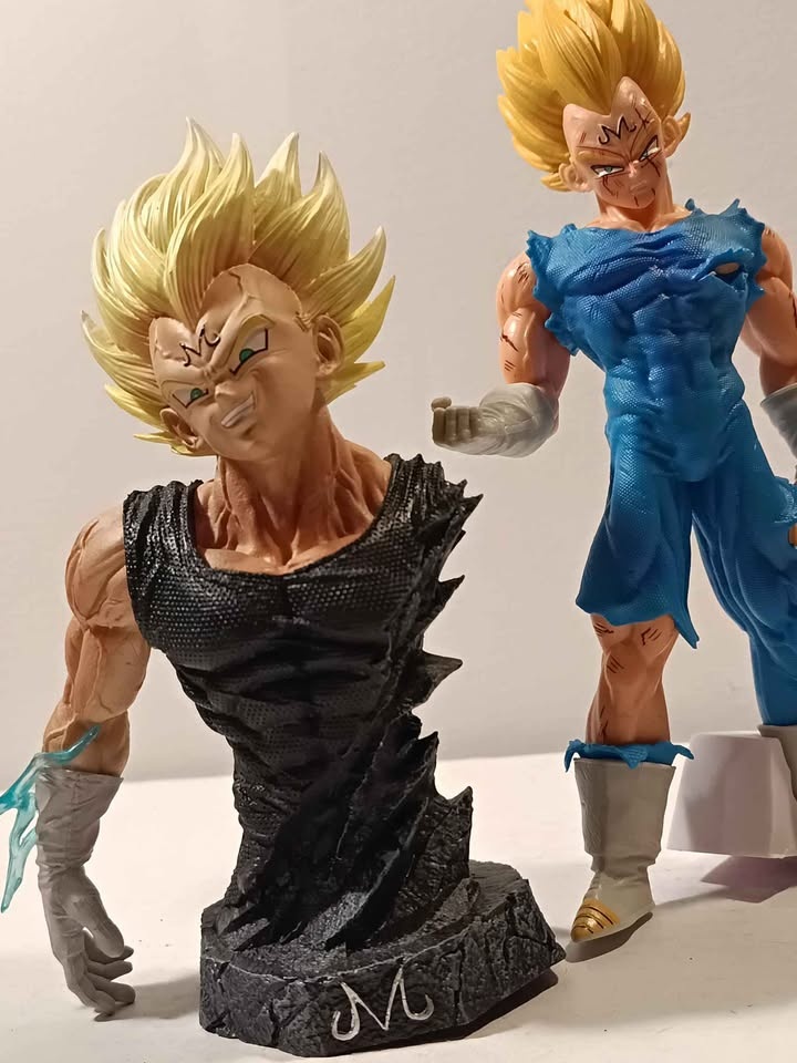 Mijin vegita - photo 2