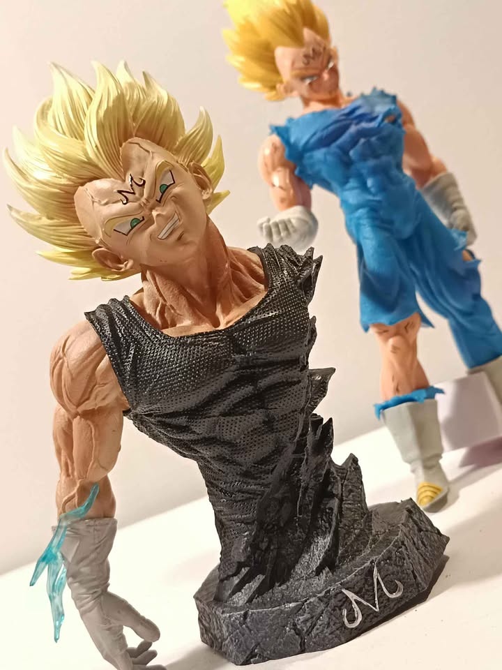 Mijin vegita - photo 3