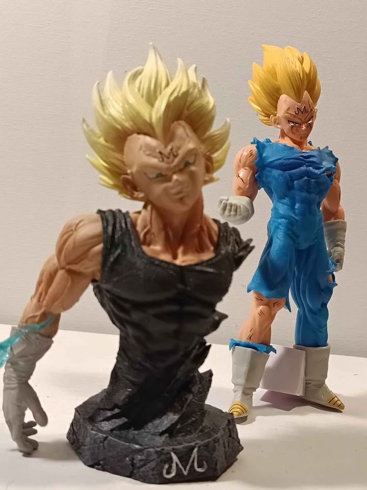 Mijin vegita - photo 4