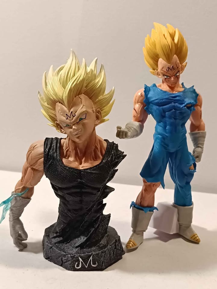 Mijin vegita - photo 5